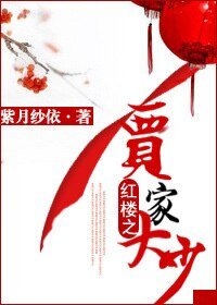 《(紅樓同人)紅樓之賈家大少》