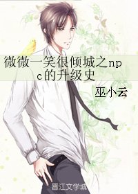 《(微微一笑同人)微微一笑很傾城之npc的升級史》