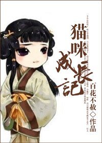 《貓咪成長記》