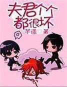 《夫君個個都很壞》