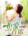 拒愛總裁/拒愛首席