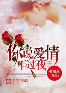 《你說愛情不過夜》