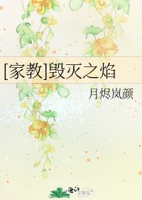 [家教]毁灭之焰